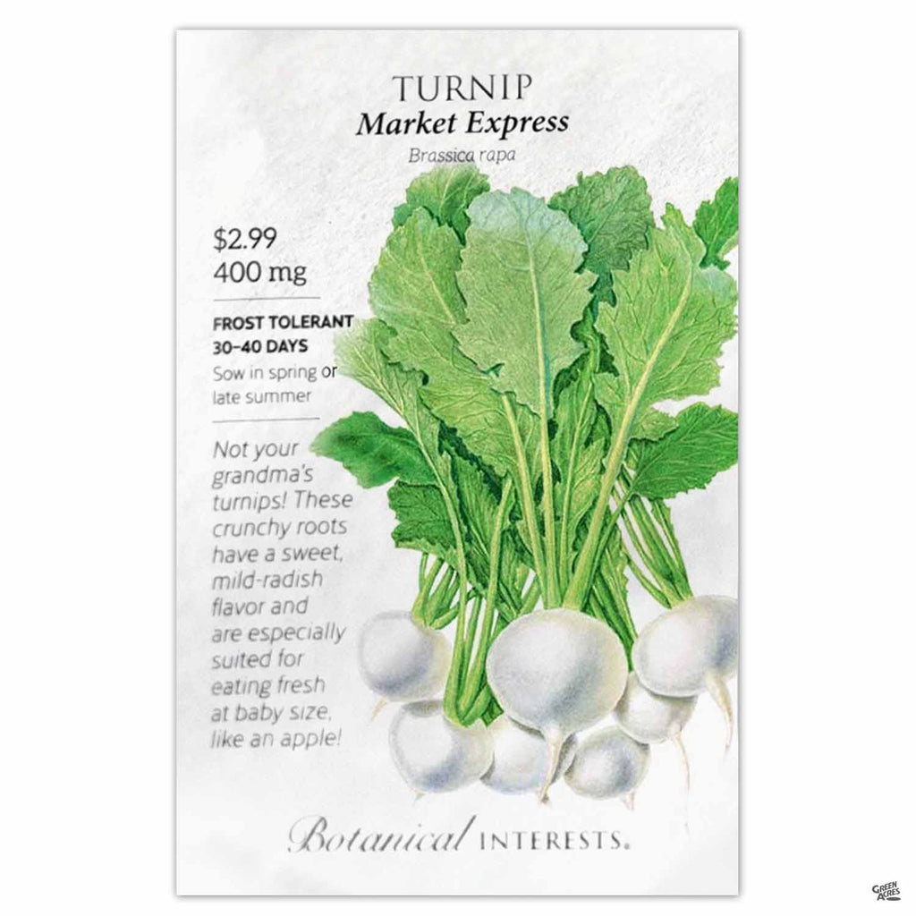 Turnip 'Market Express' — Green Acres Nursery & Supply