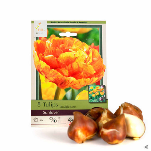 Tulips Double Late Sunlover 8- pack