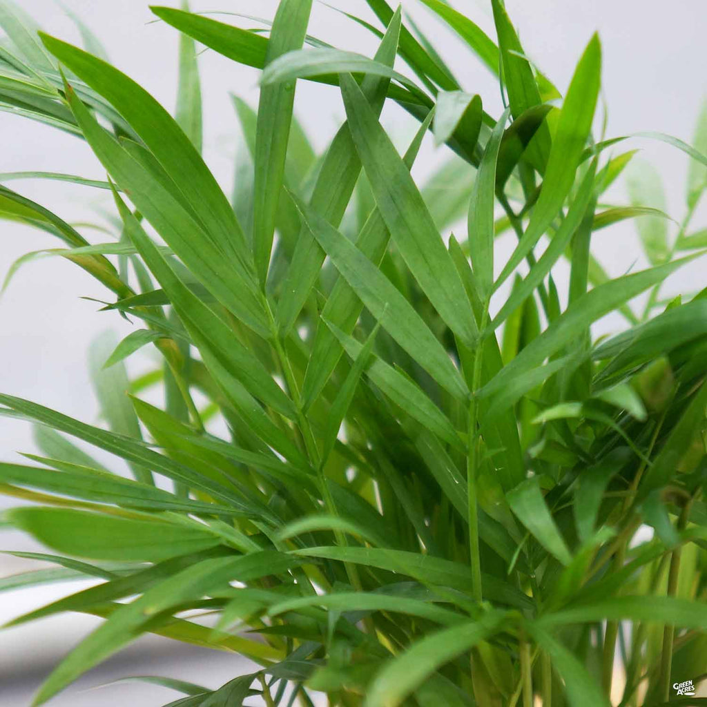 artificial philodendron vine Real Touch Fake Philodendron Hanging Plant main image 1