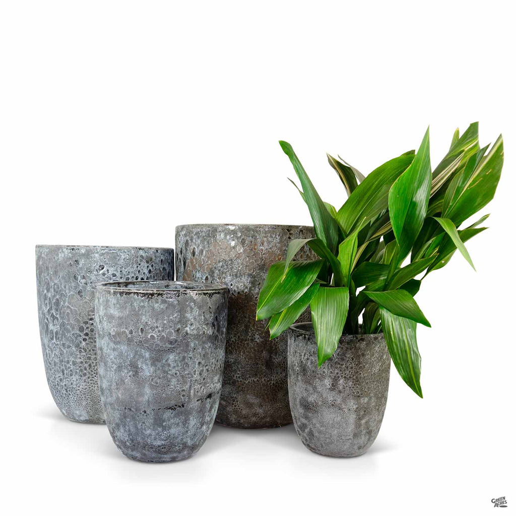 cone planter pot Tall Milano Cone Planter — Green Acres Nursery & Supply