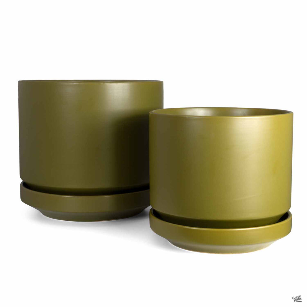 palm springs planter Melrose Planter with Attached Saucer — Green Acres Nursery & Supply