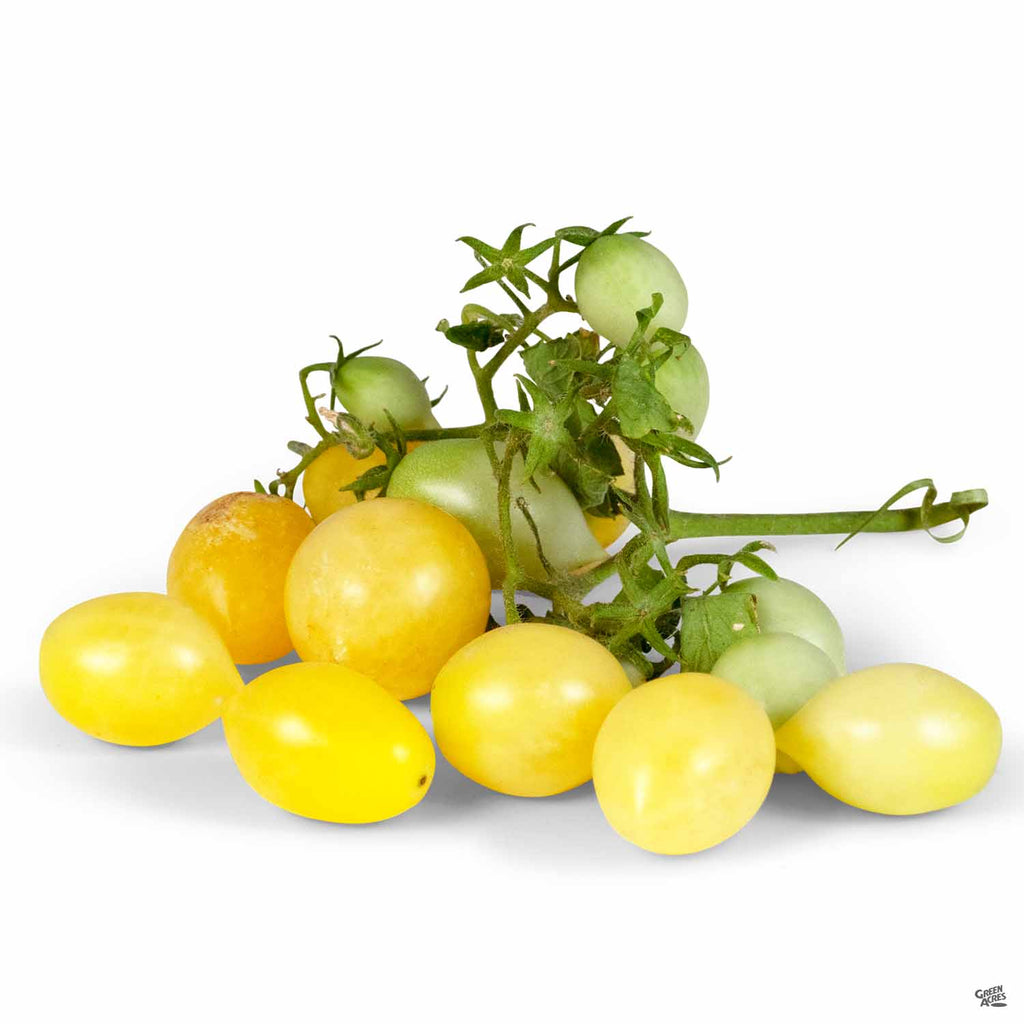 Tomato 'Barry's Crazy Cherry' — Green Acres Nursery & Supply