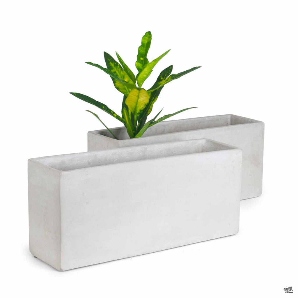 Rectangular Plant Vessel — Green Acres Nursery & Supply