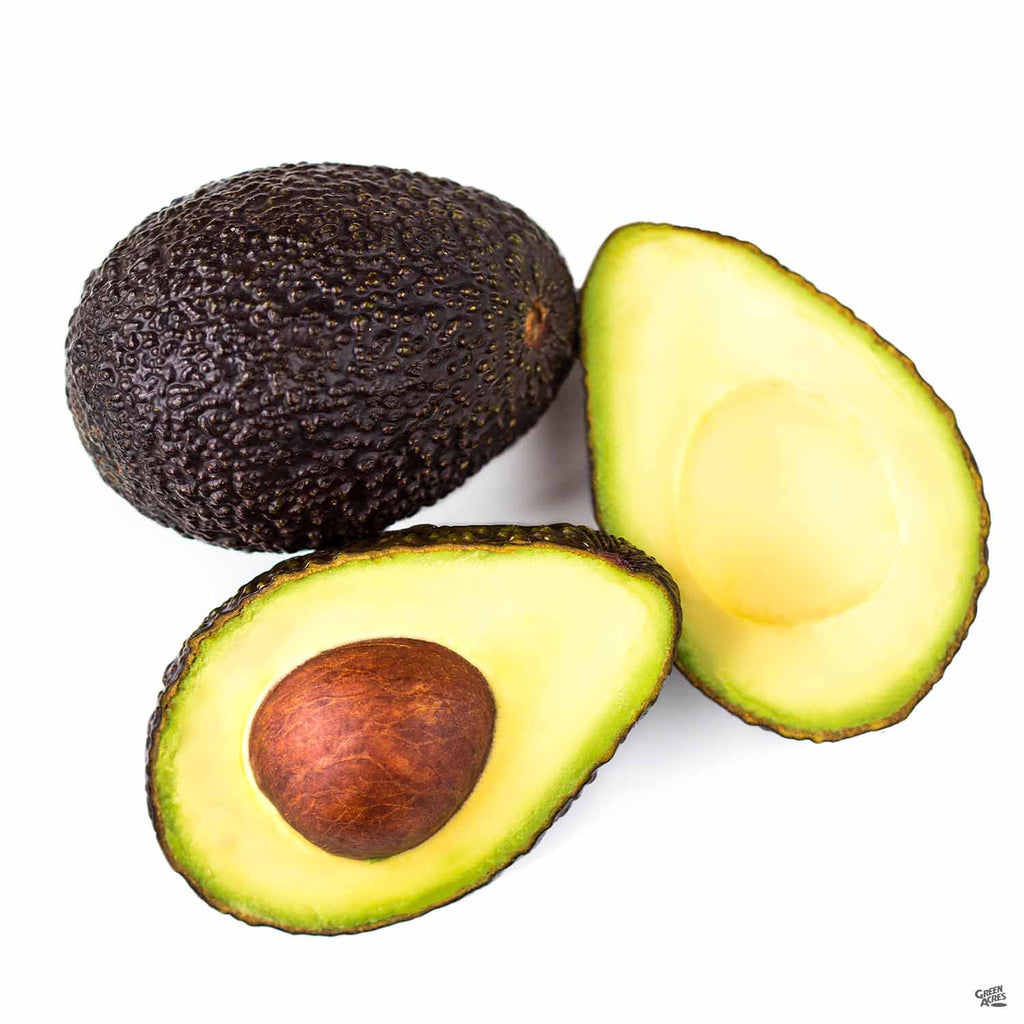Avocado Varieties Chart