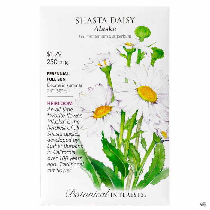 Botanical Interests Seeds Shasta Daisy Alaska