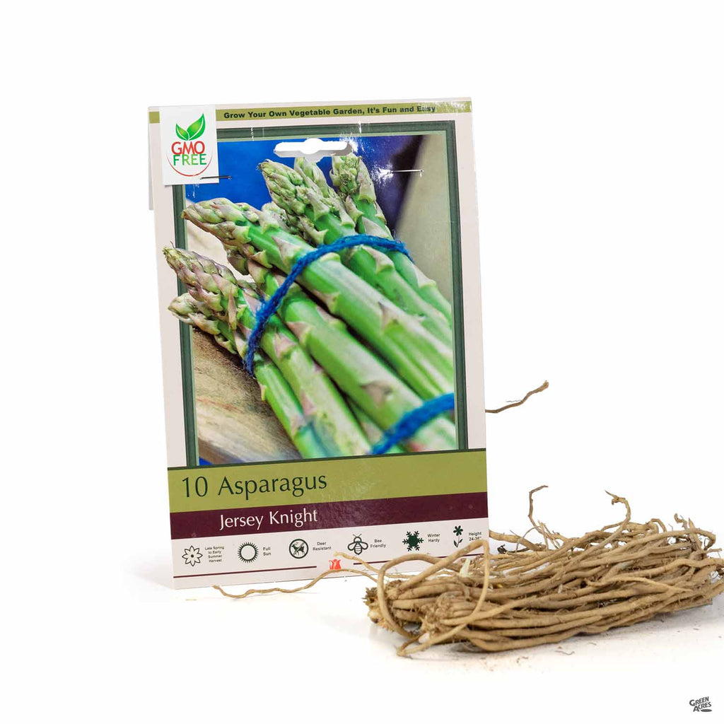 Asparagus 'Jersey Knight' — Green Acres Nursery & Supply