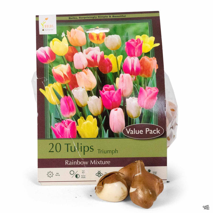 Tulips Triumph Rainbow Mixture 20-pack