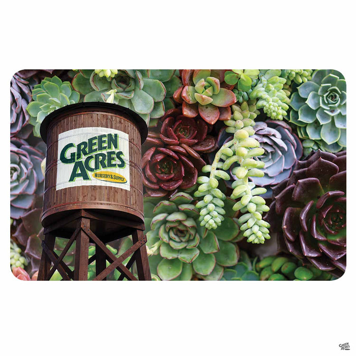Green Acres Nursery & Supply Gift Card Succulents