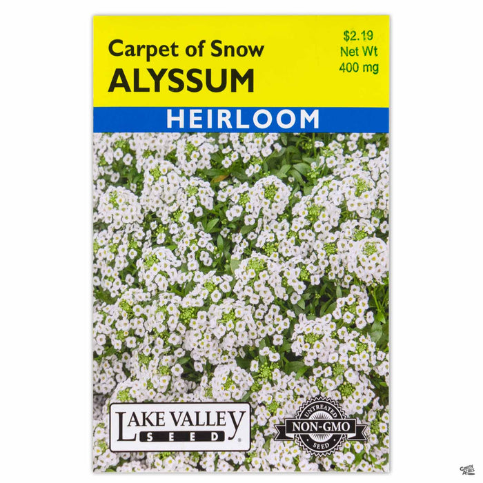 Lake Valley Seed Carpet of Snow Alyssum