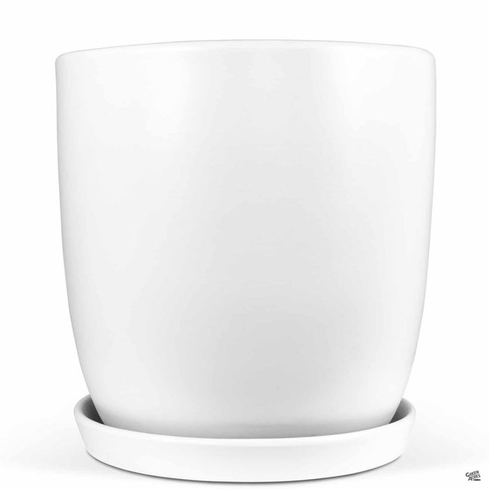Eastham Egg Pots with Attached Saucer Matte White - 11.75 inch by 11.75 inch