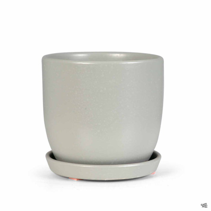 Eastham Egg Pots with Attached Saucer Matte Grey - 5.5 inch by 5.5 inch