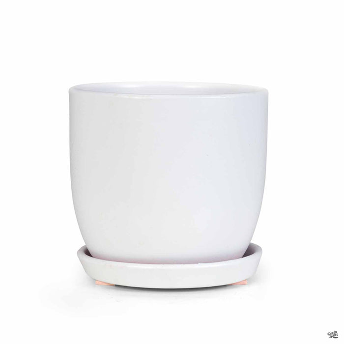 Eastham Egg Pots with Attached Saucer Matte White - 5.5 inch by 5.5 inch