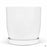 Eastham Egg Pots with Attached Saucer Shiny White - 9.75 inch by 9.75 inch