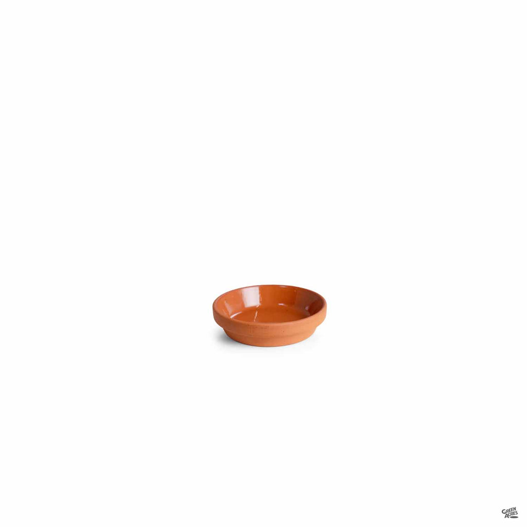 lowes terra cotta plant saucer German Clay Saucer Terracotta — Green Acres Nursery & Supply