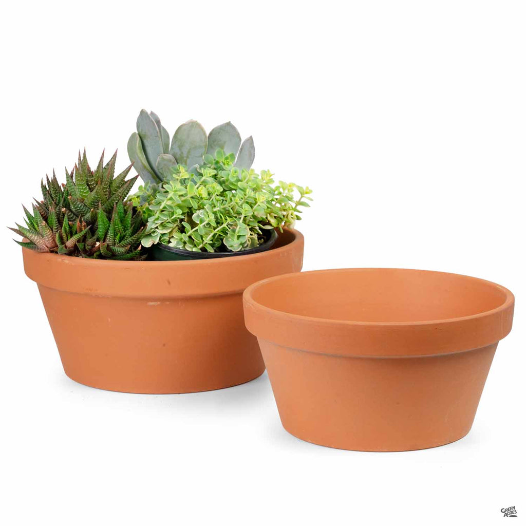 shallow clay plant pots German Bulb Pan Terracotta — Green Acres Nursery & Supply