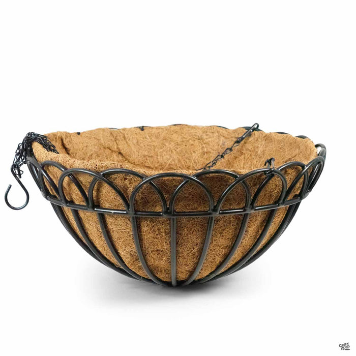 Greenbrier Hanging Basket 16 inch