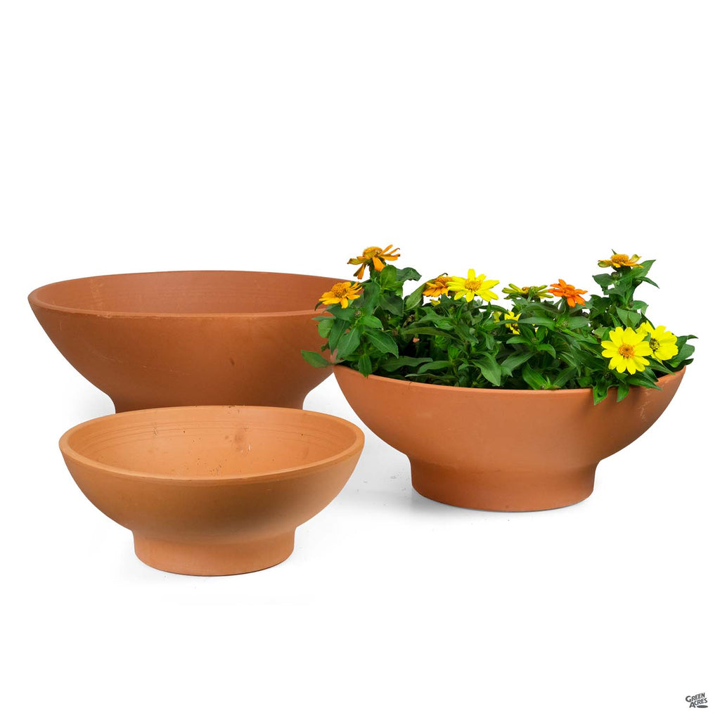 Italian Low Bowl Terracotta — Green Acres Nursery & Supply