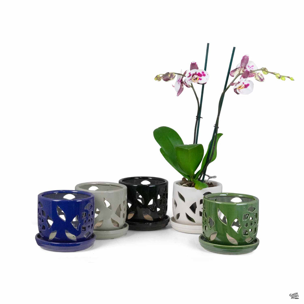 shiny plant pots Shiny Orchid Pot — Green Acres Nursery & Supply