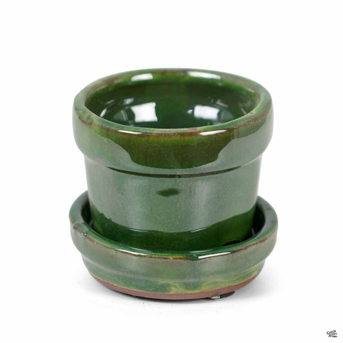 Standard Pot with Attached Saucer in Tropical Green 2.75 inch