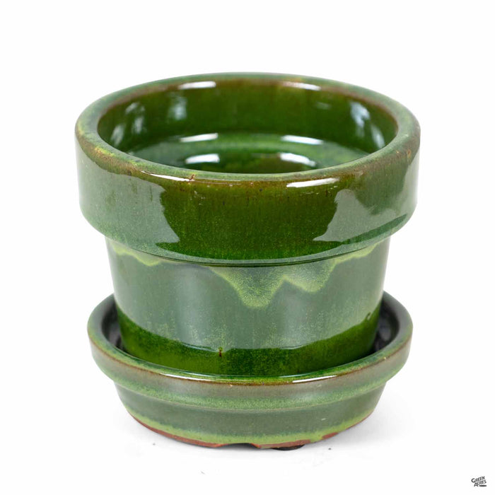 Standard Pot with Attached Saucer in Tropical Green 4.75 inch