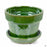 Standard Pot with Attached Saucer in Tropical Green 6.75 inch