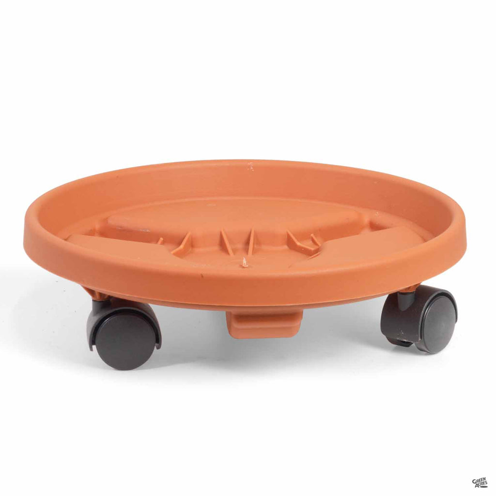 Bloem Round Plant Caddy — Green Acres Nursery & Supply