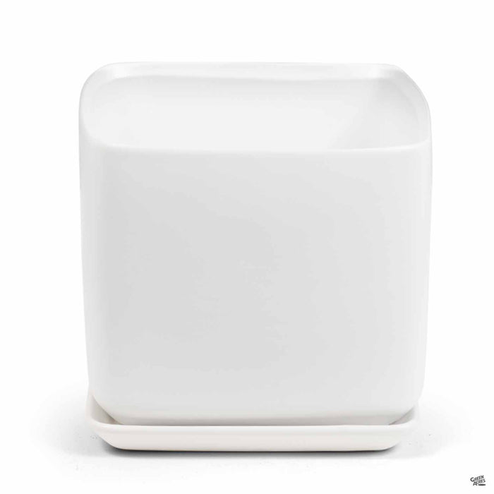 Cube with Attached Saucer in White 7 inch
