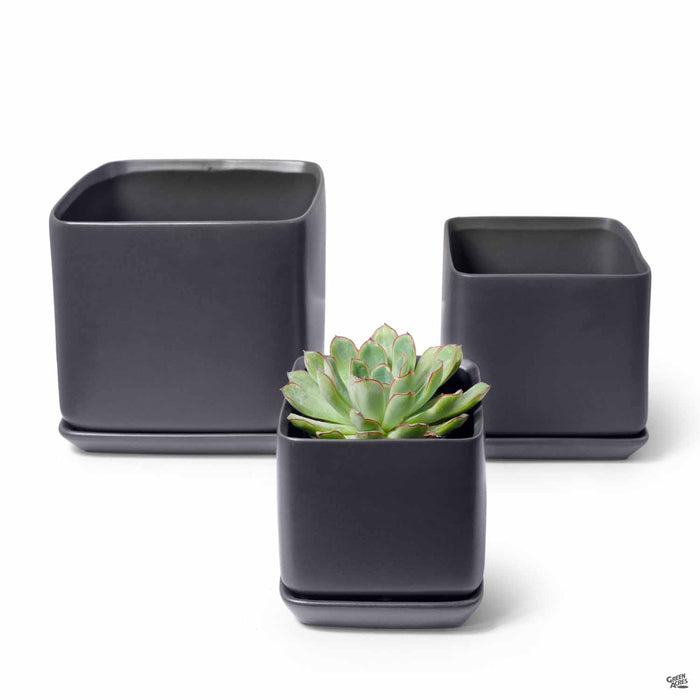 Cube with Attached Saucer in Black - Group