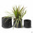 Cylinder with Attached Saucer Planters in Black