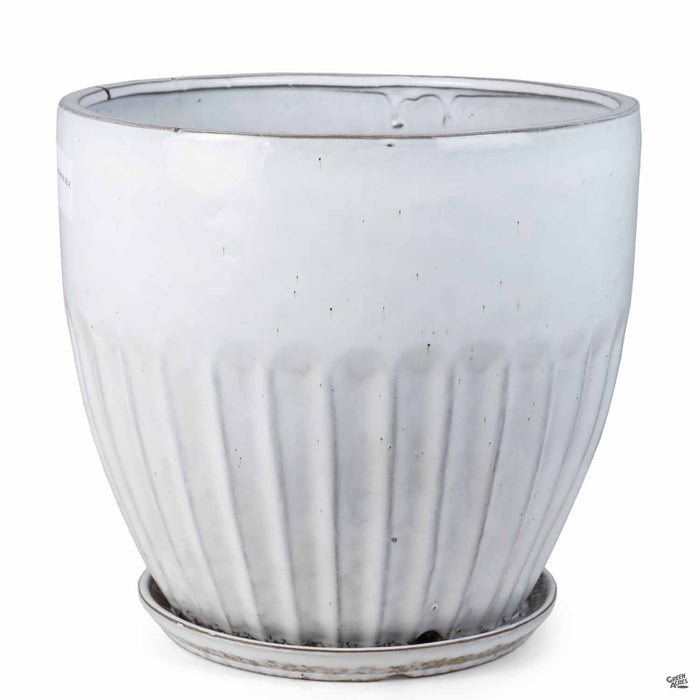 Zaragoza Planter with Attached Saucer in white 11.5 inch