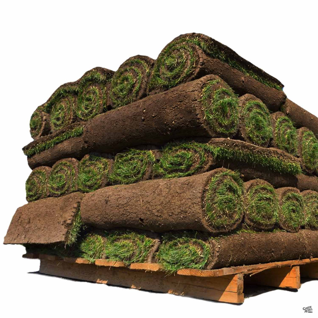 Shade Blend — Green Acres Nursery &amp; Supply