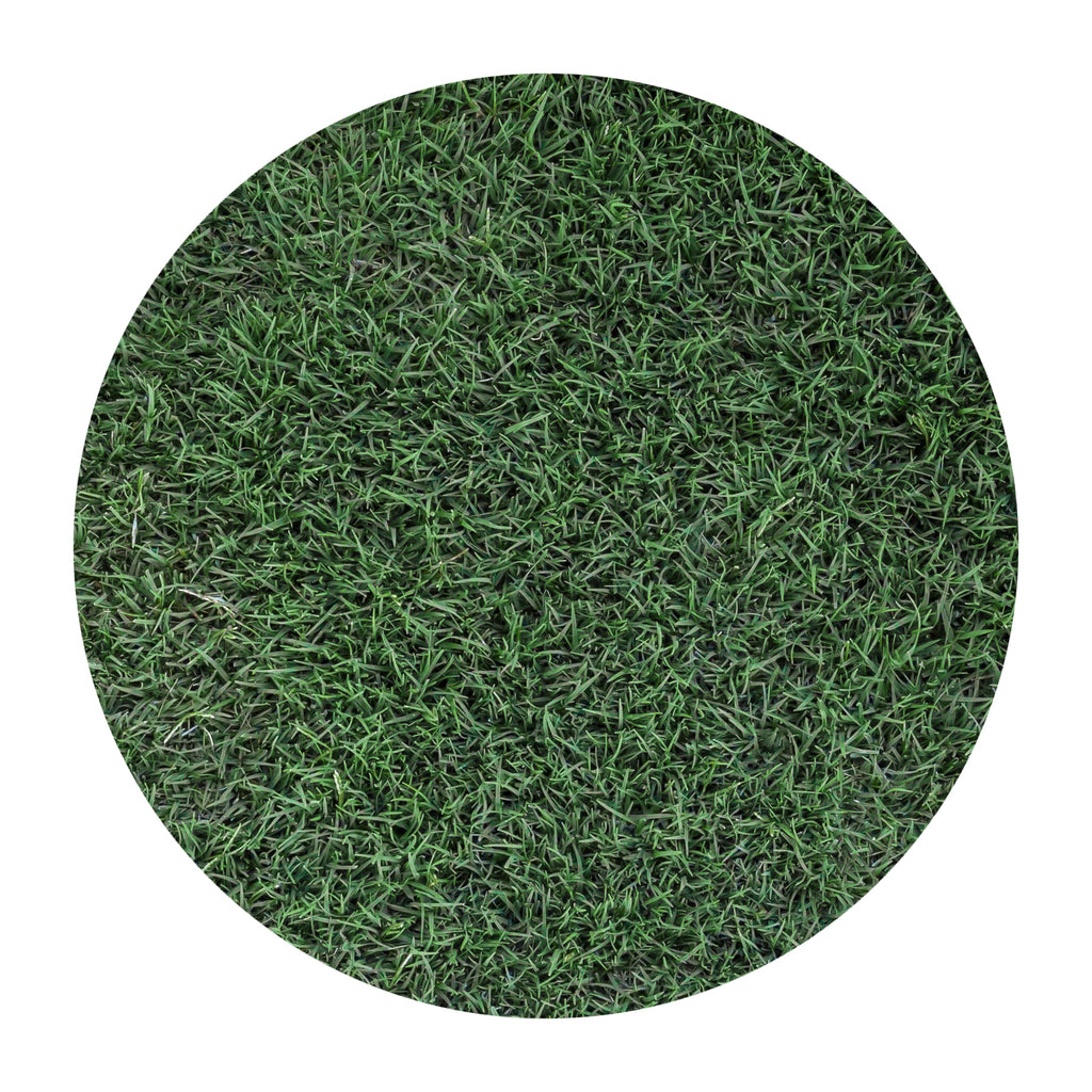 Tifway 419 & Tifway II — Green Acres Nursery & Supply