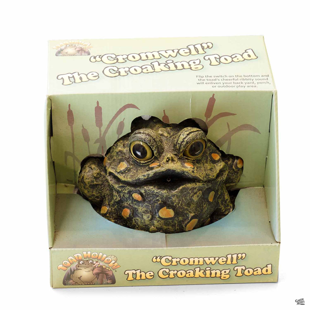 ToadHollow_Cromwell_CroakingTo
