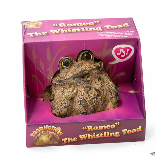 Toad Hollow Dreamer Romeo Whistling Toad