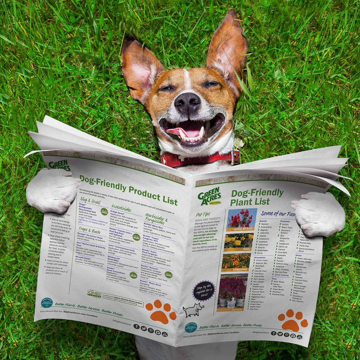 Dog reading dog-friendly plant and product list