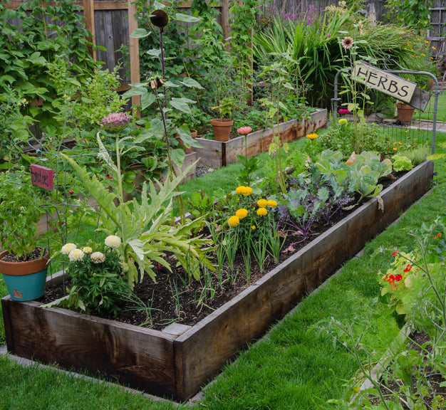 Image of established raised garden bed