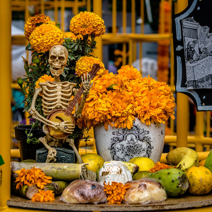 Marigolds on Alter for Día de Muertos