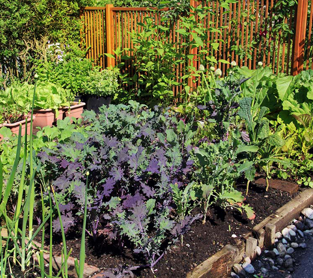 What To Grow In September Green Acres Nursery Supply what-to-grow-in-september-green-acres-nursery-supply