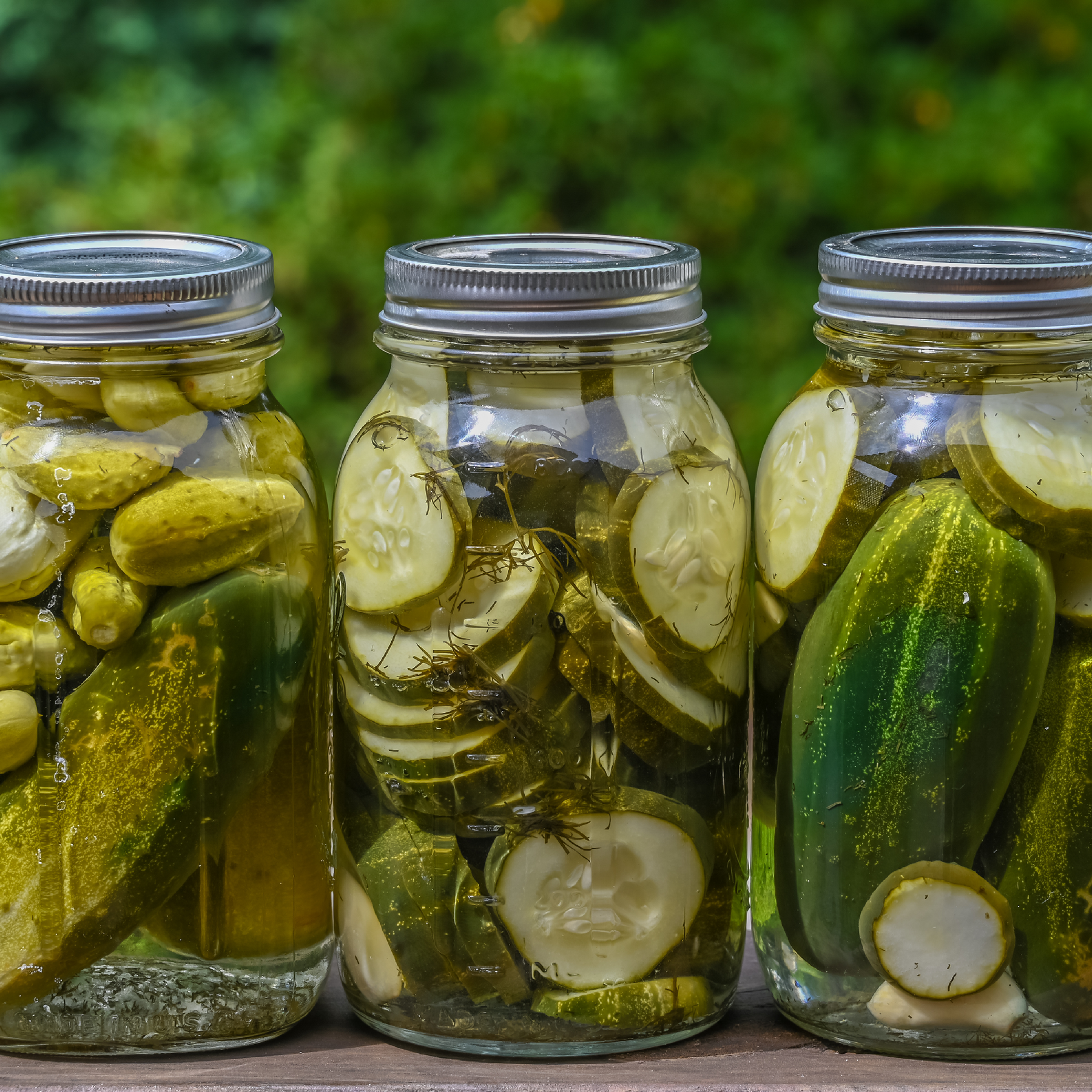Pickled cucumbers in a mason jar