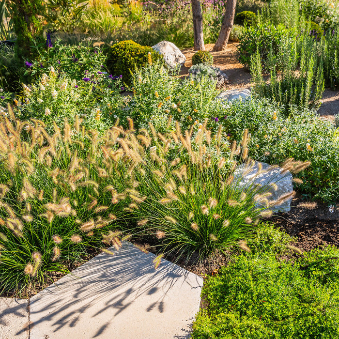 Hydrozoning Your Garden