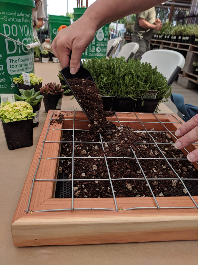 Building a succulent wall hanging