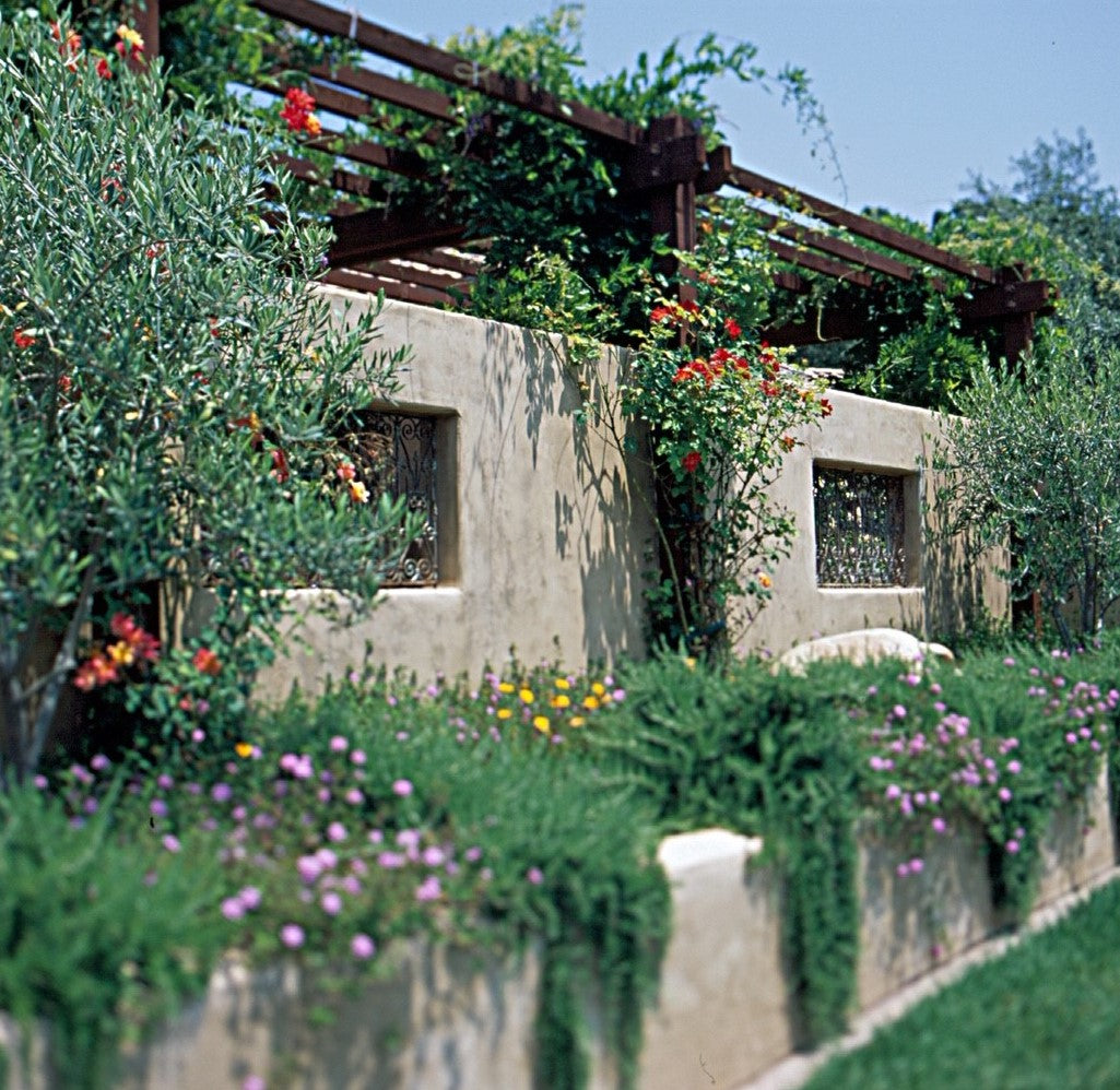 Mediterranean garden and retaining wall
