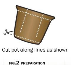 Illustration of where to score a pulp pot
