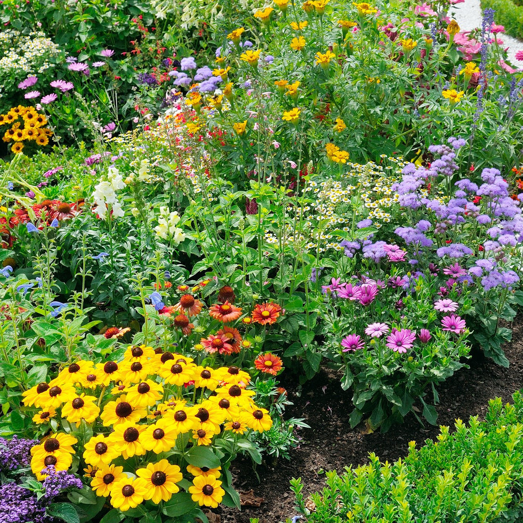 Summer Series Part II, Pollinators — Green Acres Nursery & Supply