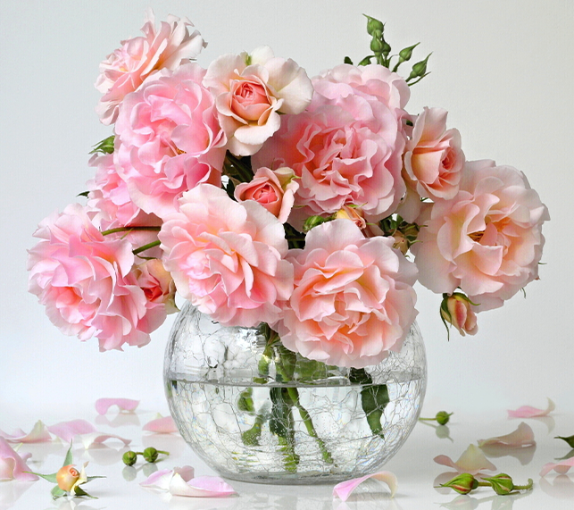 Vase Filled with Pink Roses