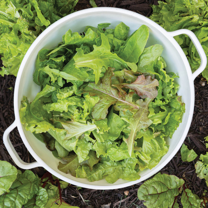 Growing a Salad Bar