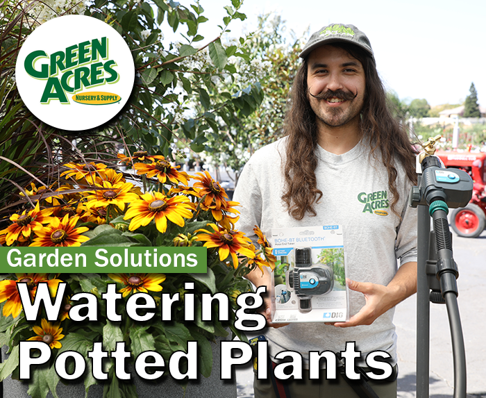 video thumbnail Watering Potted Plants