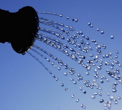 Water drops flowing from a watering can