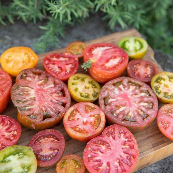 Wild Boar Farms sliced tomatoes on wooden board
