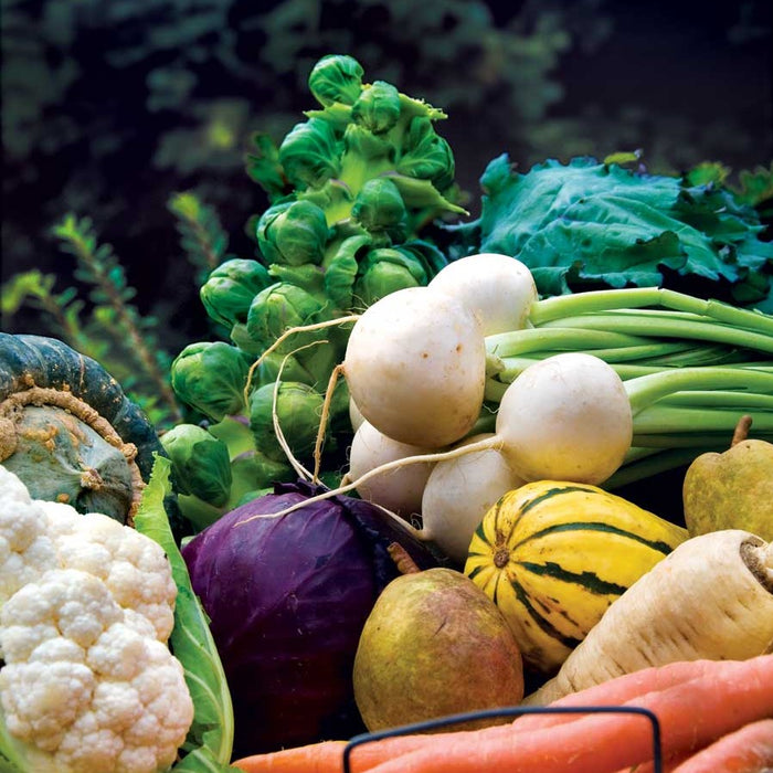 A selection of winter veggies